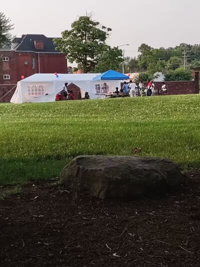 Rose Dog Park - Detroit,