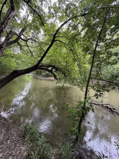 Rouge Park - Detroit,