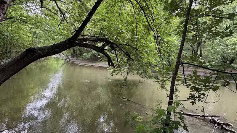 Rouge Park - Detroit,