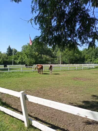 Rouge Park - Detroit,