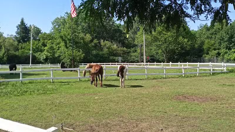 Rouge Park - Detroit,
