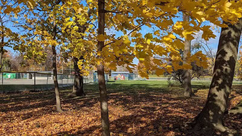 Stoepel Park - Detroit,