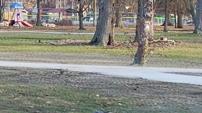 Stoepel Park - Detroit,