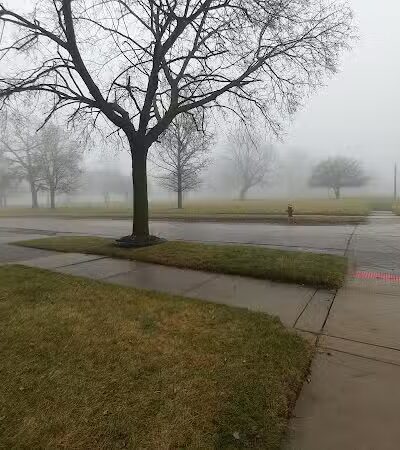 Stoepel Park Number 2 - Detroit,