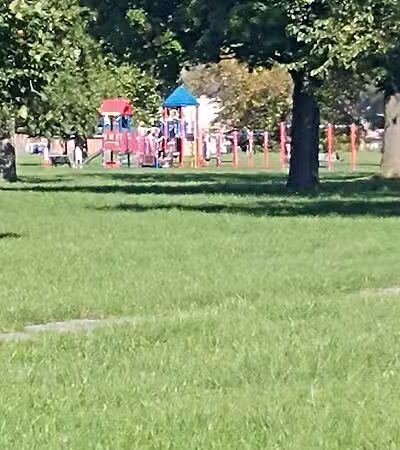 Stoepel Park Number 2 - Detroit,