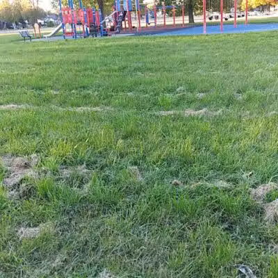 Stoepel Park Number 2 - Detroit,