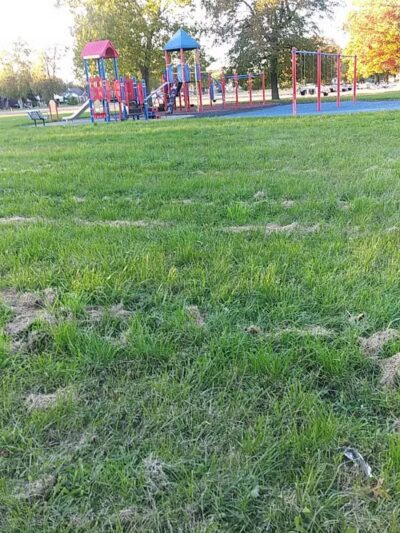 Stoepel Park Number 2 - Detroit,