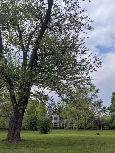 Voigt Park - Detroit,