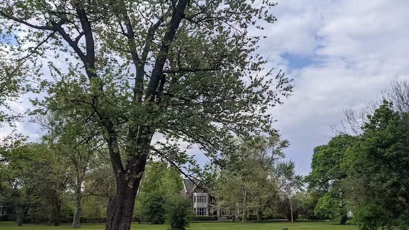 Voigt Park - Detroit,