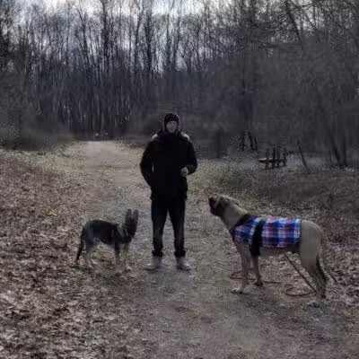 Padgett Dog Park - DeWitt,