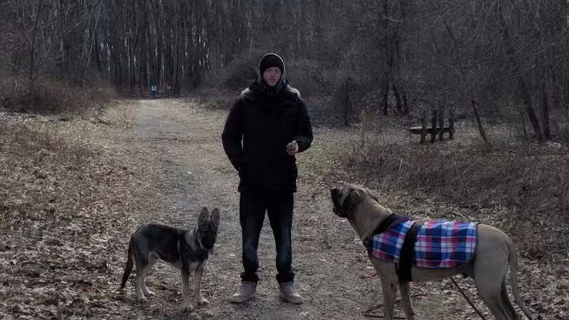 Padgett Dog Park - DeWitt,