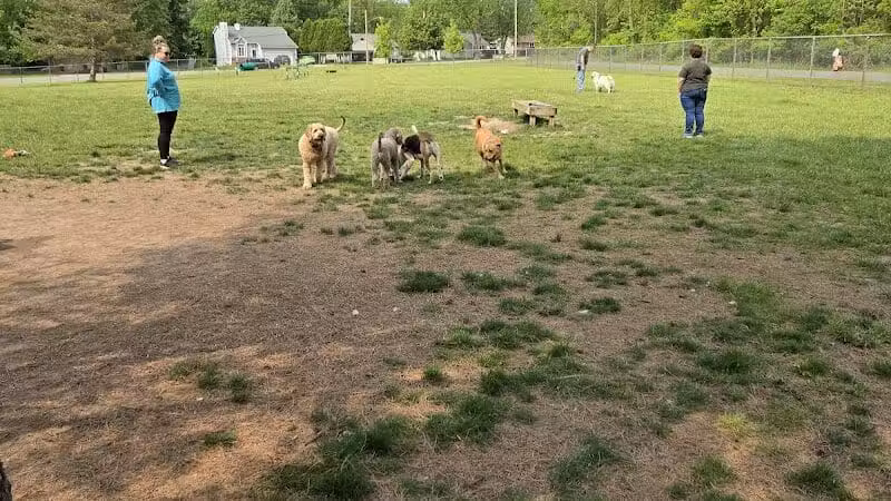 Padgett Dog Park - DeWitt,