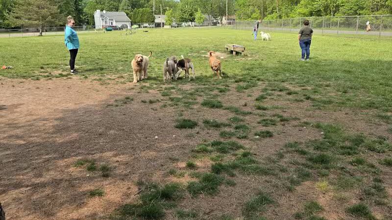 Padgett Dog Park - DeWitt,