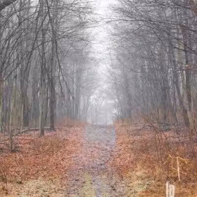 Padgett Dog Park - DeWitt,