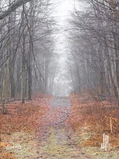 Padgett Dog Park - DeWitt,