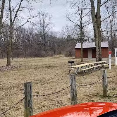 Padgett Dog Park - DeWitt,