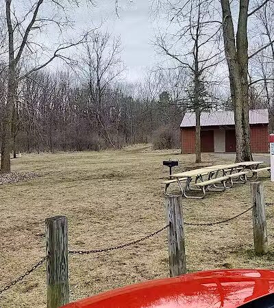 Padgett Dog Park - DeWitt,