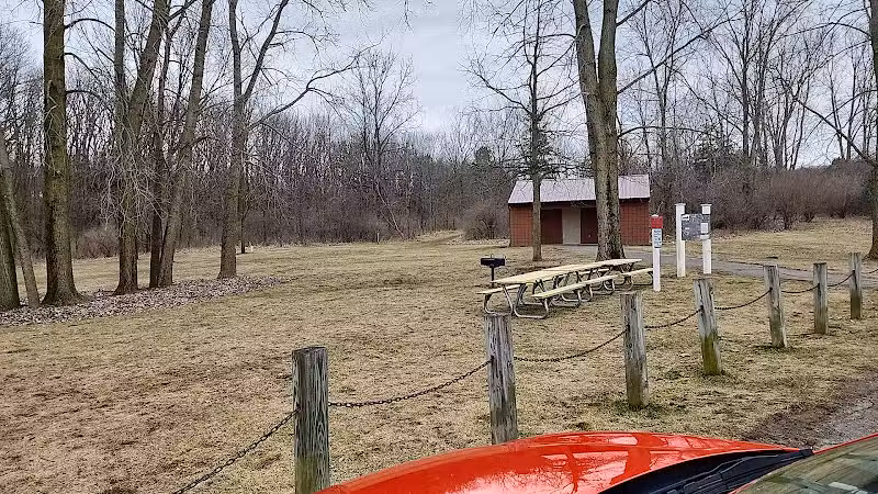 Padgett Dog Park - DeWitt,