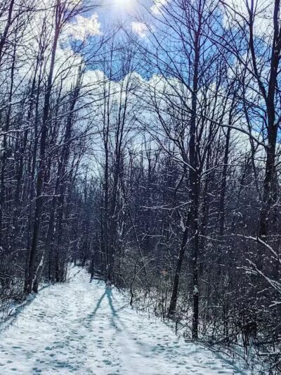 Padgett Dog Park - DeWitt,