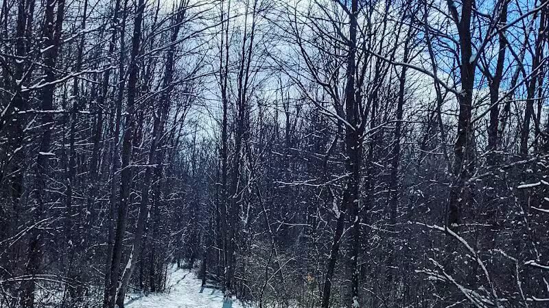 Padgett Dog Park - DeWitt,