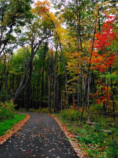Padgett Park Natural Area (DeWitt Charter Township) - DeWitt,