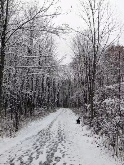 Padgett Park Natural Area (DeWitt Charter Township) - DeWitt,