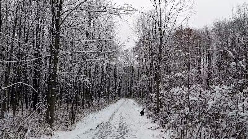 Padgett Park Natural Area (DeWitt Charter Township) - DeWitt,