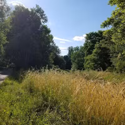 Padgett Park Natural Area (DeWitt Charter Township) - DeWitt,