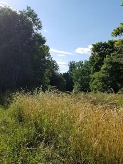 Padgett Park Natural Area (DeWitt Charter Township) - DeWitt,