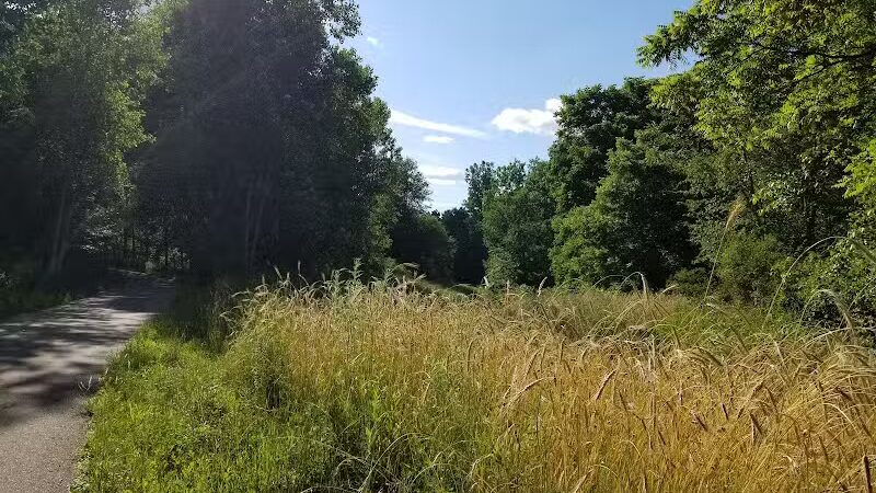 Padgett Park Natural Area (DeWitt Charter Township) - DeWitt,