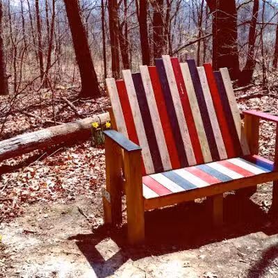 Padgett Park Natural Area (DeWitt Charter Township) - DeWitt,