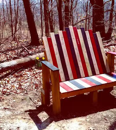 Padgett Park Natural Area (DeWitt Charter Township) - DeWitt,