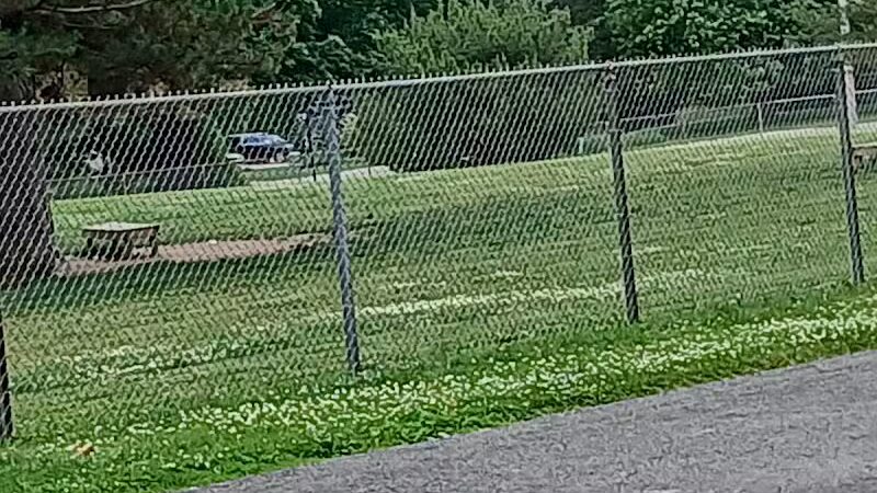 Padgett Park Natural Area (DeWitt Charter Township) - DeWitt,