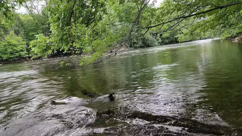 Dexter-Huron Metropark - Dexter,