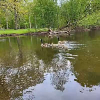 Dexter-Huron Metropark - Dexter,