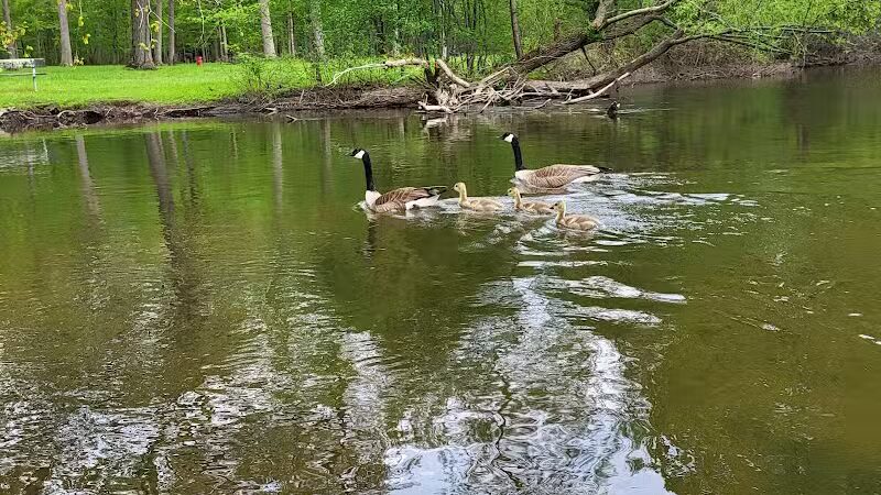Dexter-Huron Metropark - Dexter,