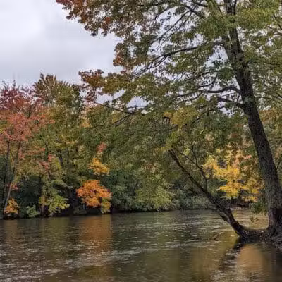 Dexter-Huron Metropark - Dexter,