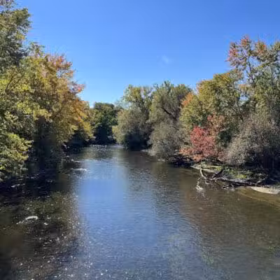 Dexter-Huron Metropark - Dexter,