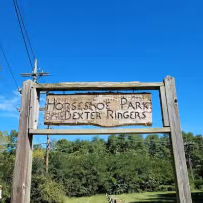 First Street Park (Horseshoe Park) - Dexter,