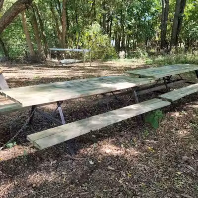 First Street Park (Horseshoe Park) - Dexter,