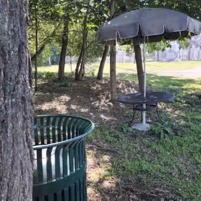 First Street Park (Horseshoe Park) - Dexter,
