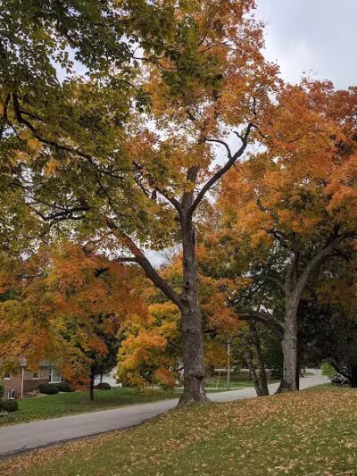 Lion's Park - Dexter,