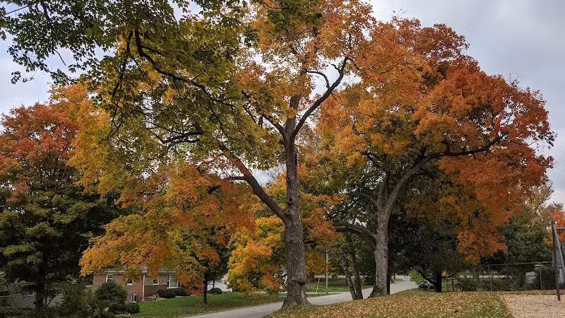 Lion's Park - Dexter,