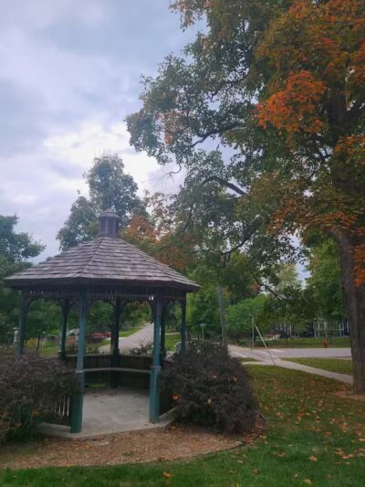 Lion's Park - Dexter,