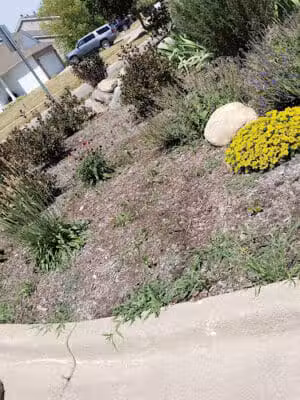 Dexter Community Park - Dexter,