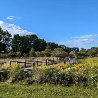 Mill Creek Park - Dexter,