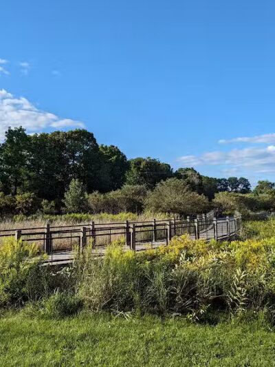 Mill Creek Park - Dexter,