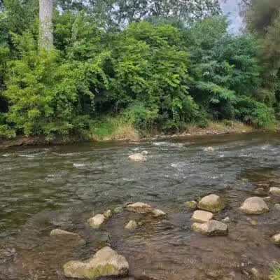 Mill Creek Park North - Dexter,