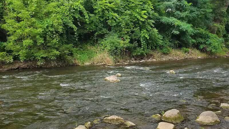 Mill Creek Park North - Dexter,