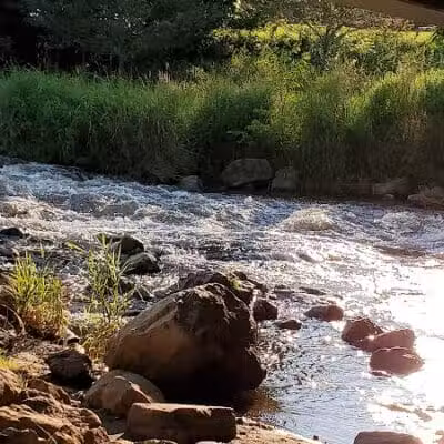 Mill Creek Park North - Dexter,